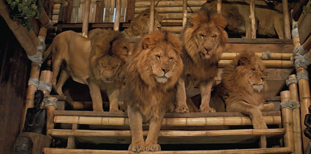 "Time for lunch yet?" Just some of thre lions to be seen in the re-released 1981 film Roar, which was shown at the 2015 Fantasia International Film Festival in Montreal.